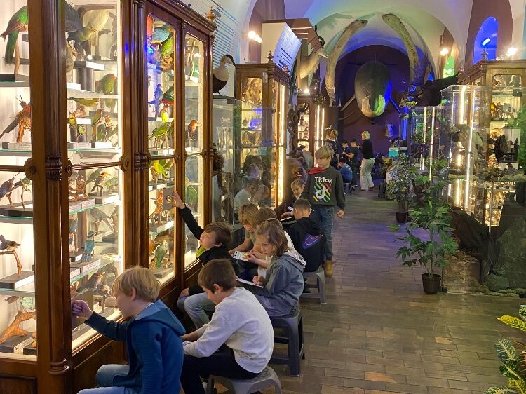 Exotická zvířata v Muzeu v České Lípě