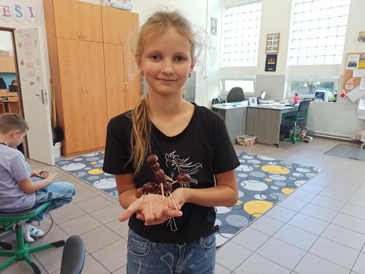 ŠK - KAŠTANOVÉ ZOO