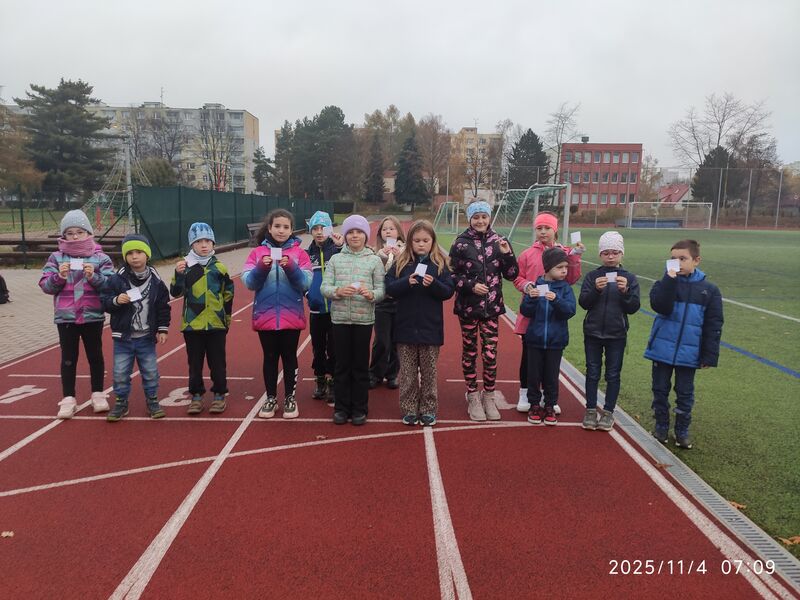 Ranní kroužení - listopad