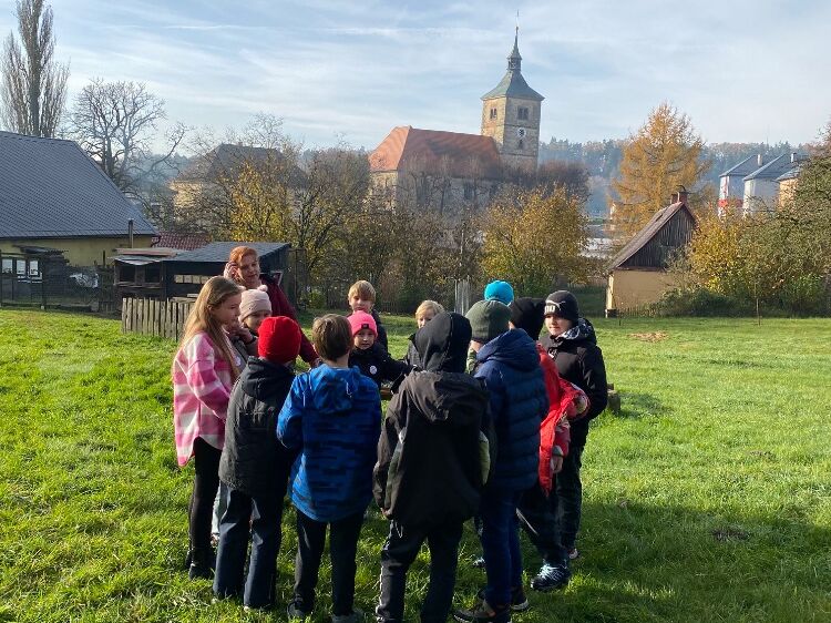 Českoněmecký projekt 