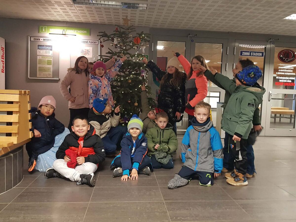 Vánoční ozdoba pro Sportareál