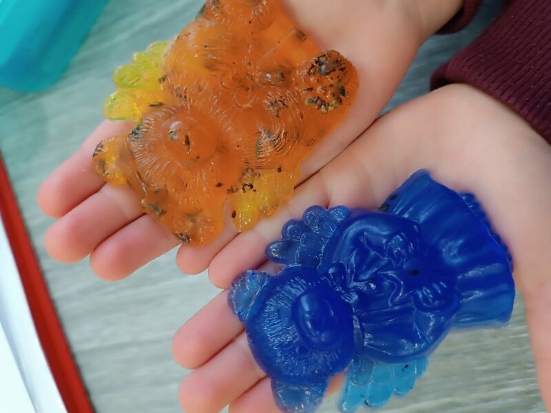 ŠD NEPLEŠI a výroba mýdla