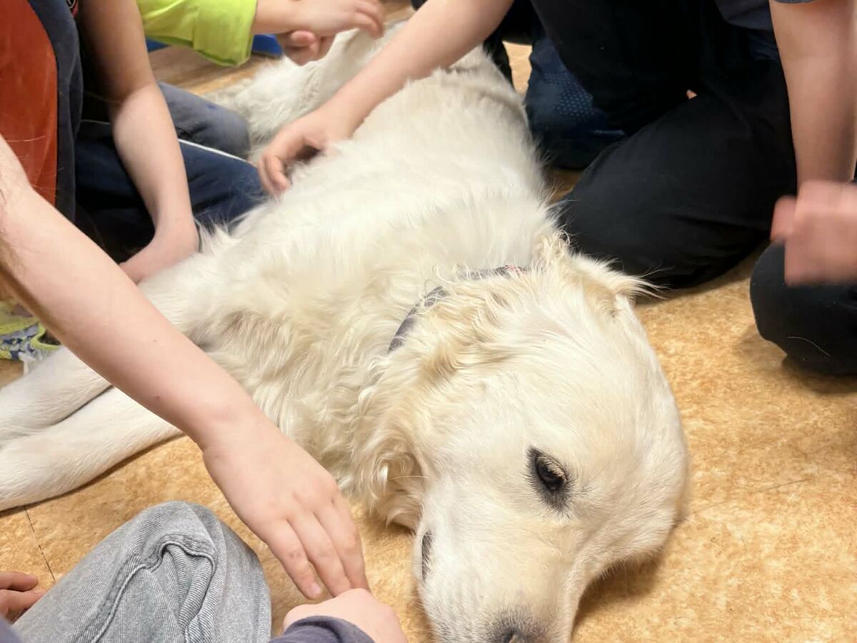 Školní pes Amálka na návštěvě v 1.C