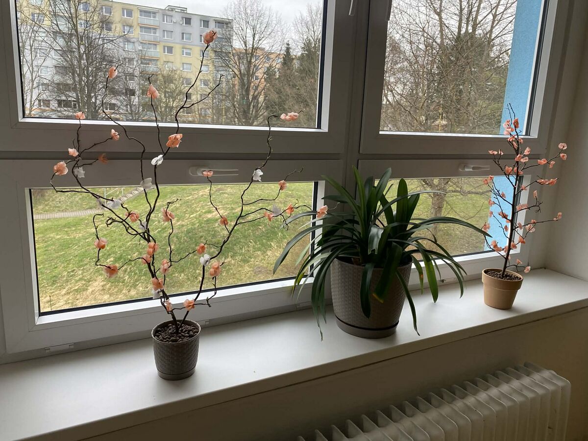 Kvetoucí stromy z vosku