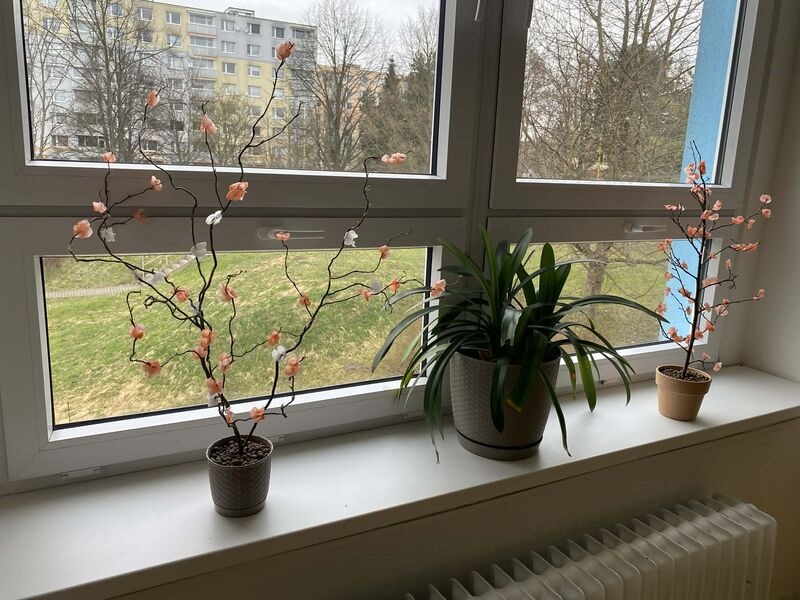 Kvetoucí stromy z vosku