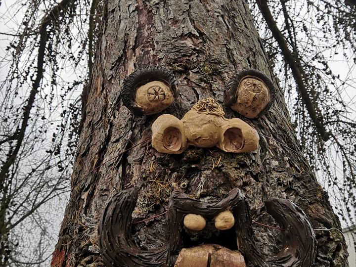 Posvátné stromy na školním pozemku