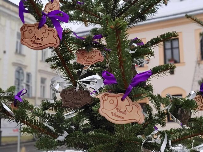 Vánoční stromeček na Jeřábkově náměstí