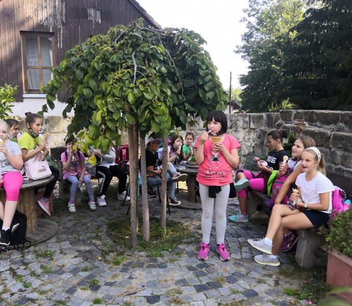 Obrázek galerie 2979