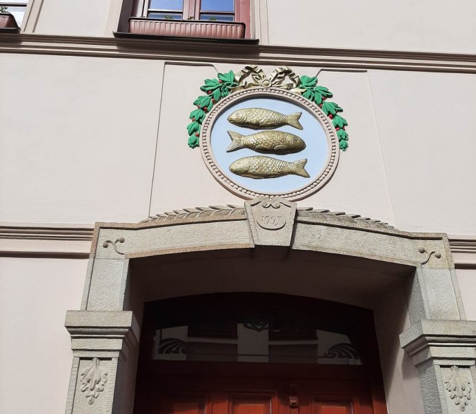 Obrázek galerie 8203