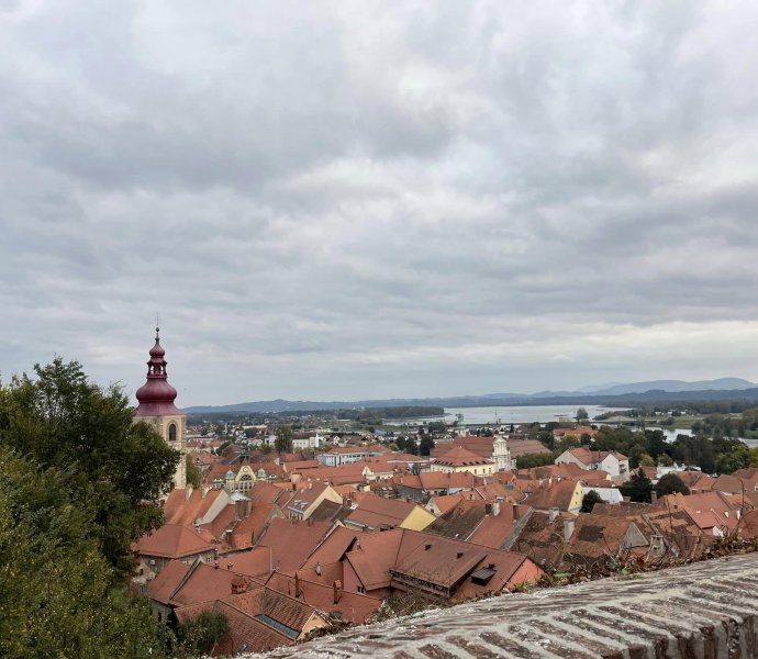 Obrázek galerie 9521