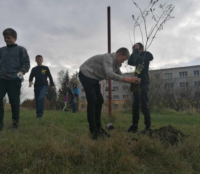 Sázení stromků a keřů v okolí školy