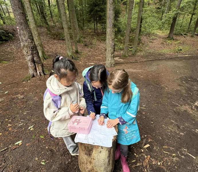 Obrázek galerie 17434