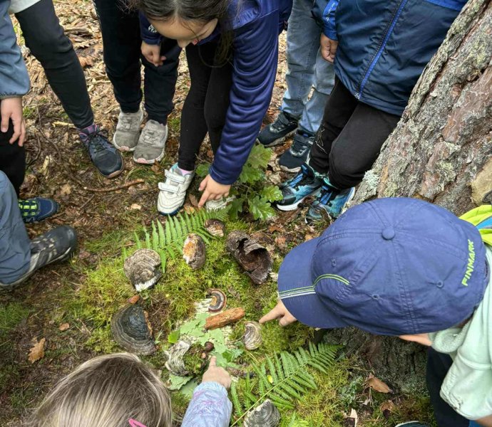 Obrázek galerie 17437