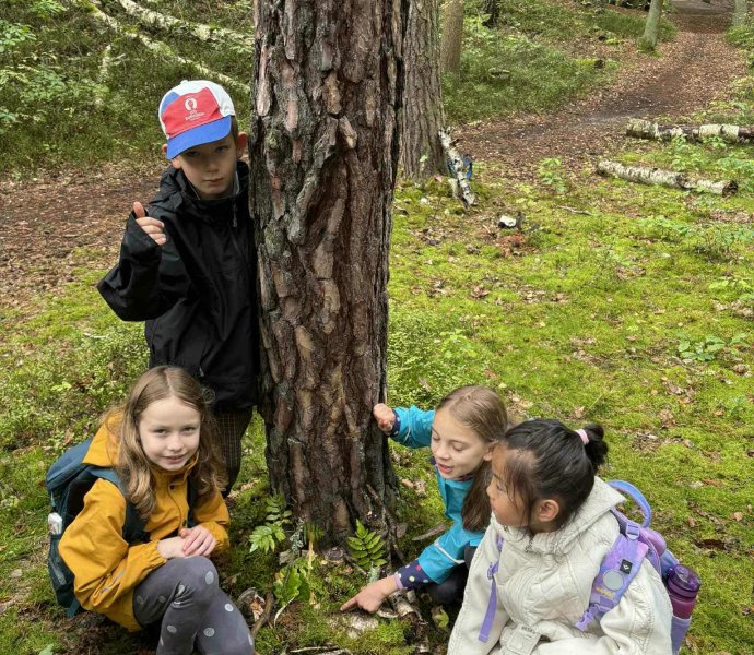 Obrázek galerie 17439