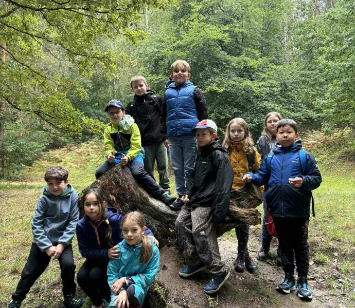 Obrázek galerie 17440