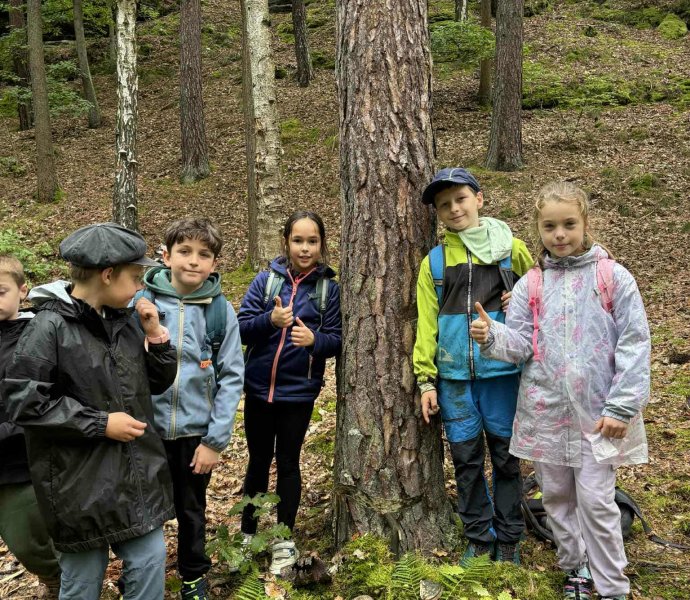 Obrázek galerie 17442