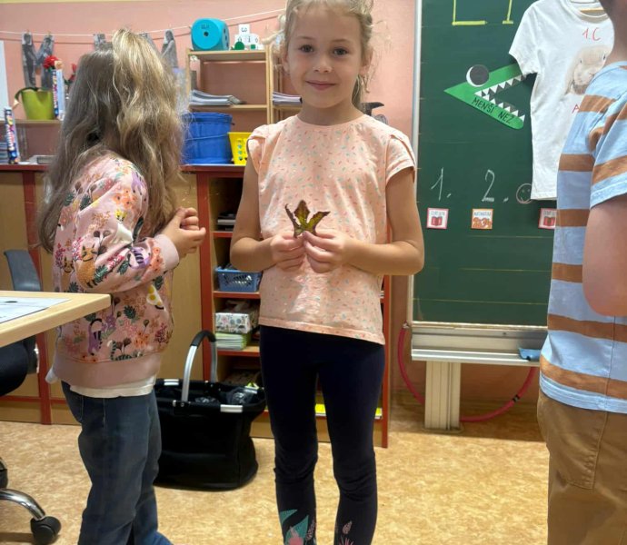 Obrázek galerie 17671