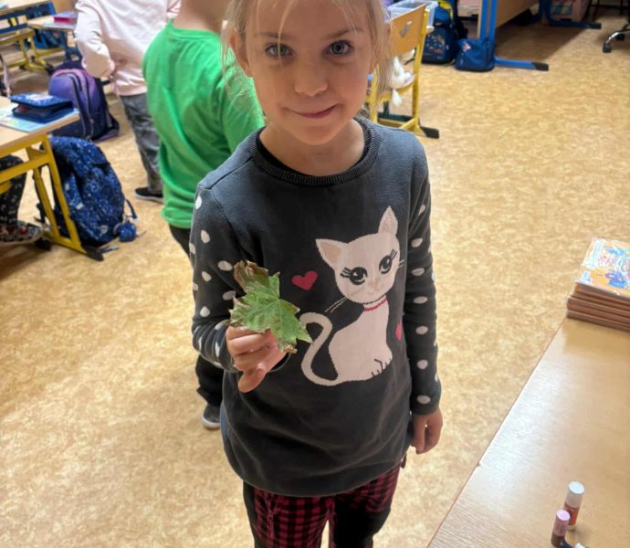 Obrázek galerie 17684