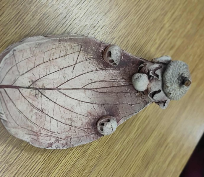 Obrázek galerie 17685