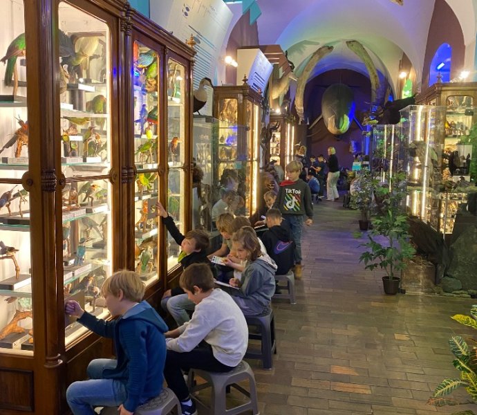 Obrázek galerie 17699