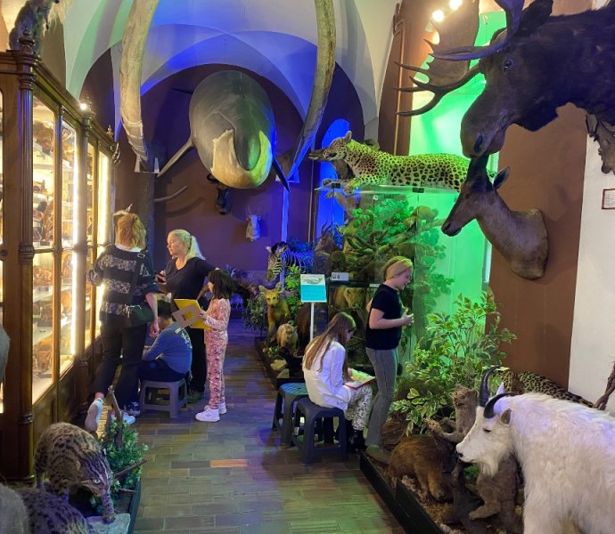 Obrázek galerie 17700