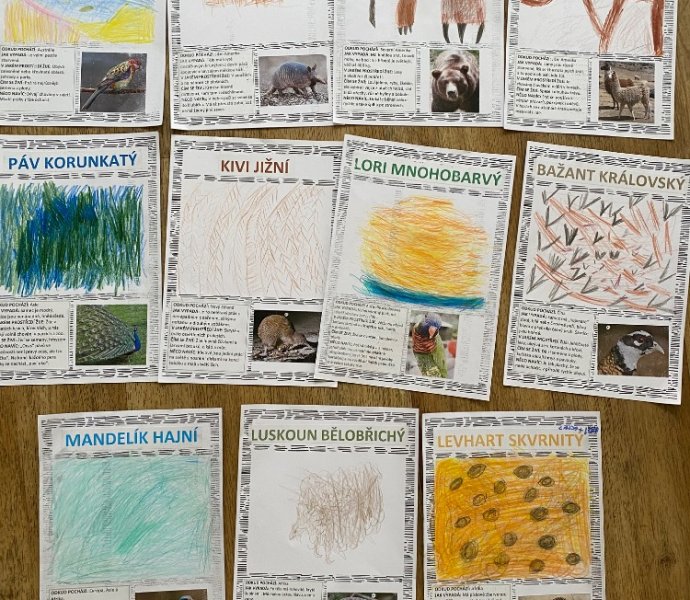 Obrázek galerie 17701