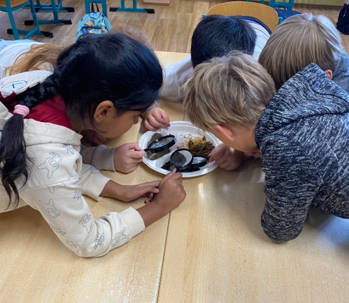 Obrázek galerie 17737