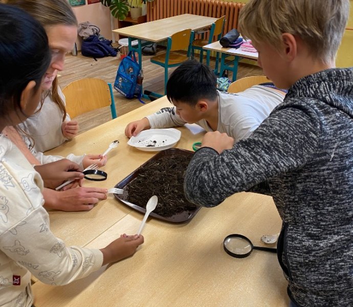 Obrázek galerie 17739