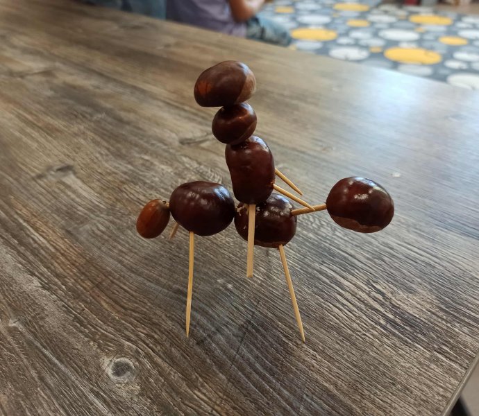 Obrázek galerie 17748