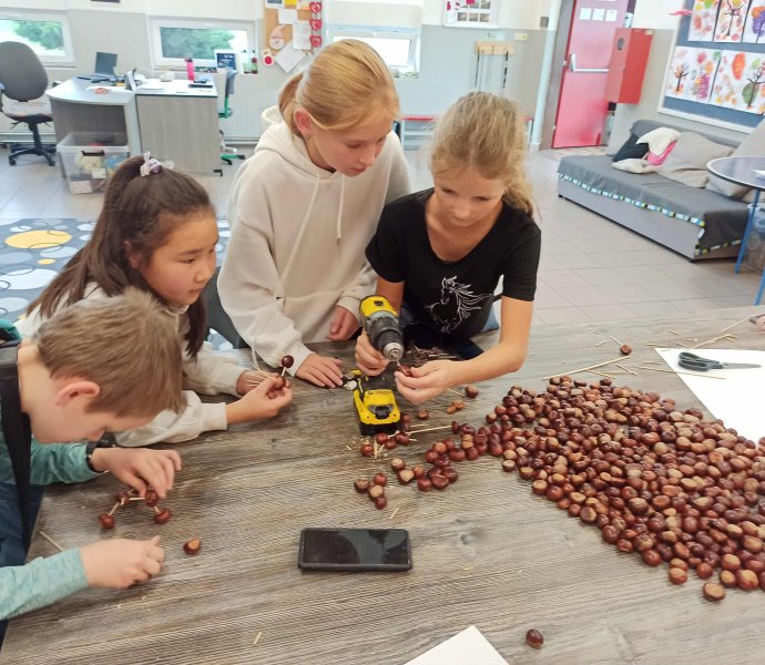 Obrázek galerie 17762