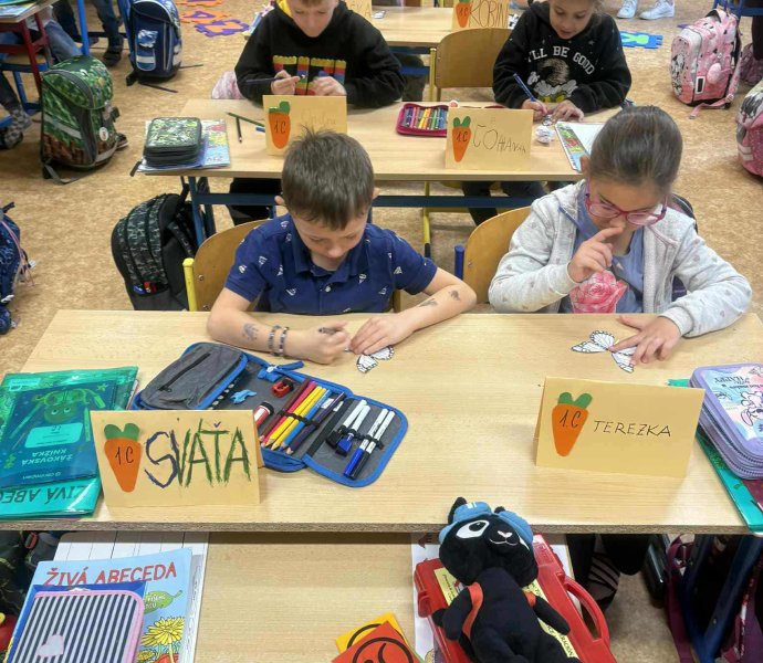 Obrázek galerie 17811