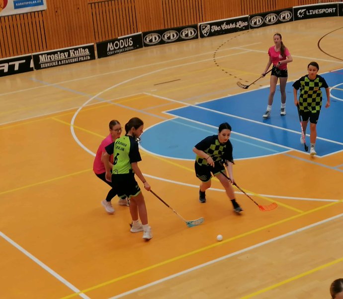 Obrázek galerie 17969