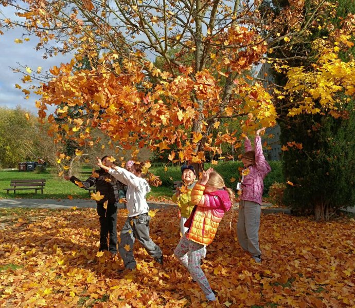 Obrázek galerie 18131