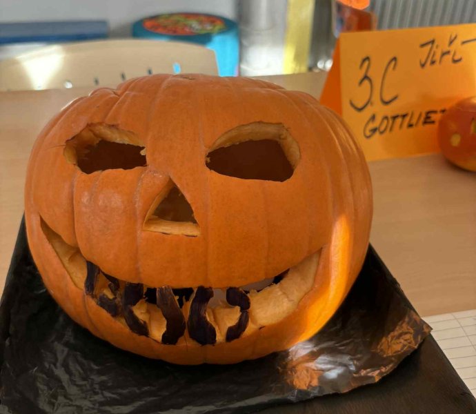 Obrázek galerie 18189