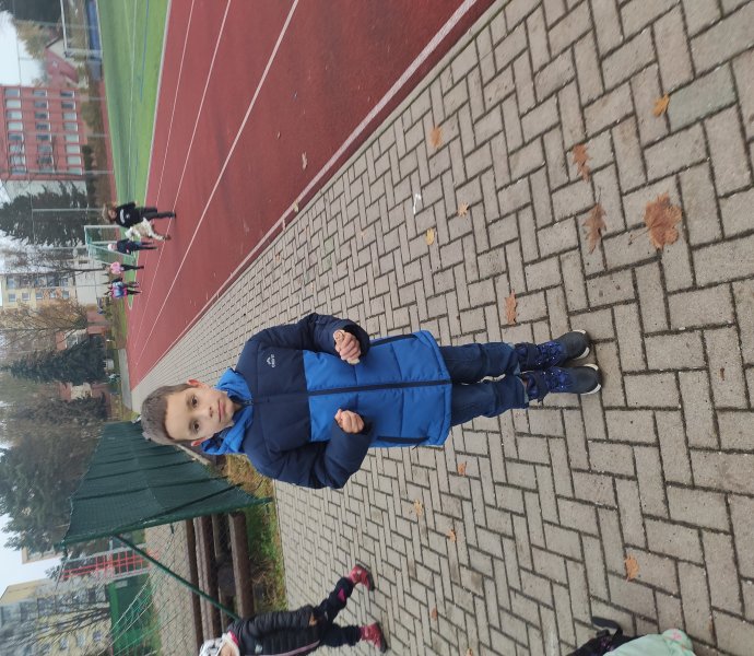 Obrázek galerie 18248