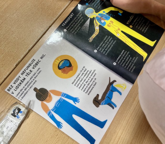 Obrázek galerie 18462