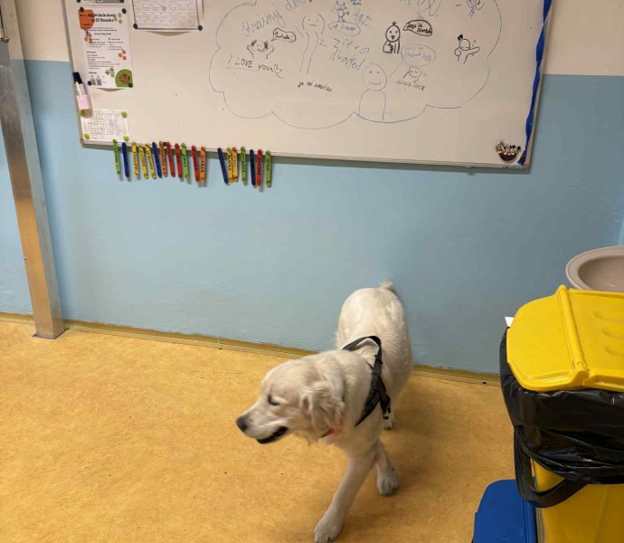 Obrázek galerie 18484