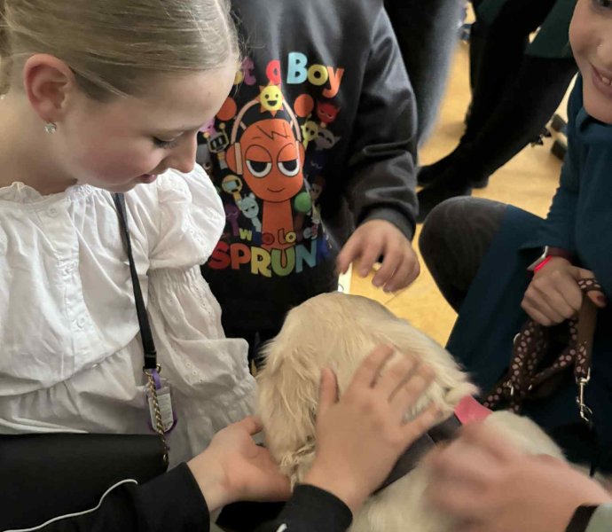 Obrázek galerie 18488