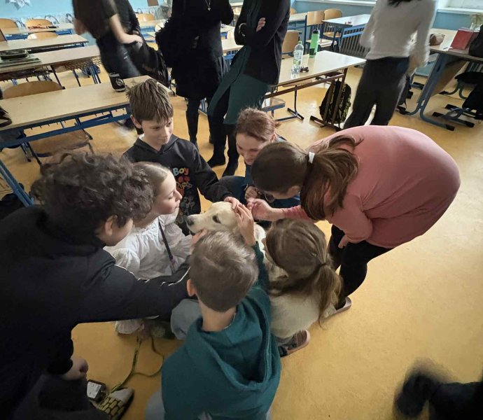 Obrázek galerie 18489