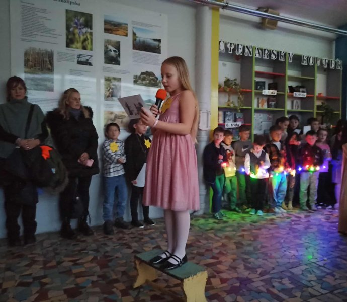 Obrázek galerie 18546