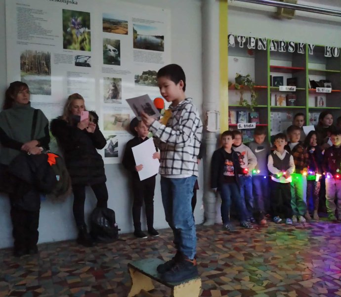 Obrázek galerie 18547