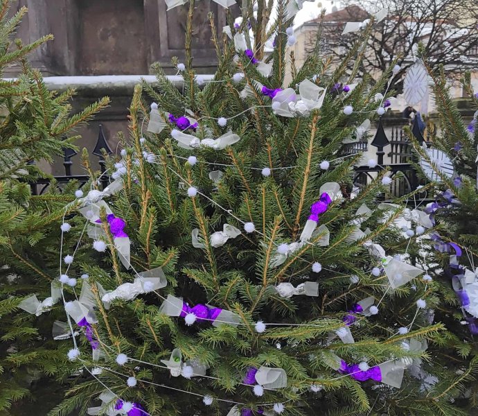 Obrázek galerie 18655