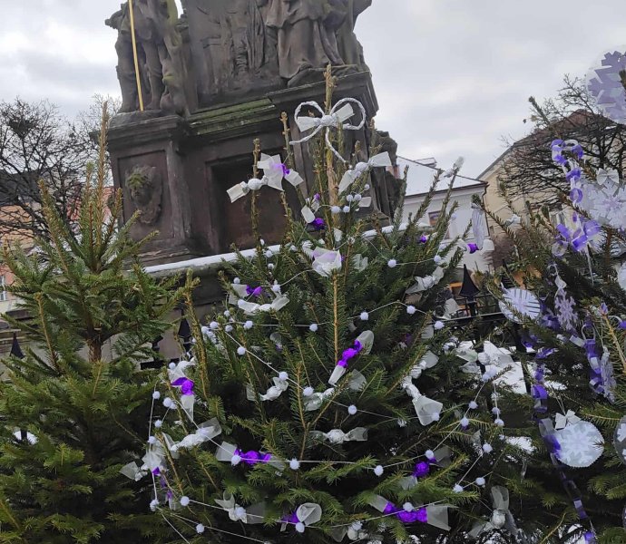 Obrázek galerie 18657