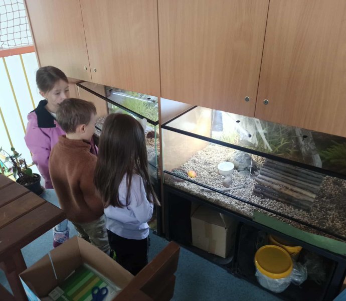 Obrázek galerie 18718