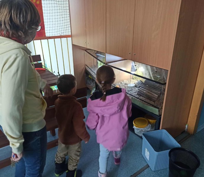 Obrázek galerie 18745