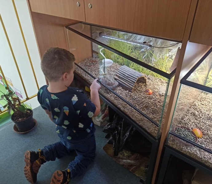 Obrázek galerie 18747