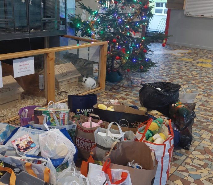 Obrázek galerie 18817