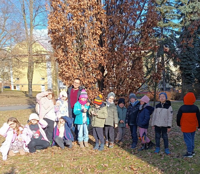 Obrázek galerie 19902