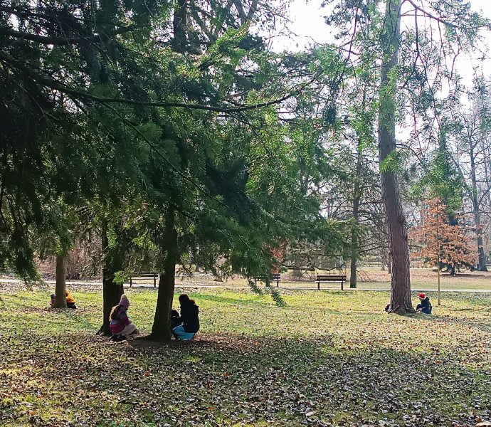 Obrázek galerie 19965