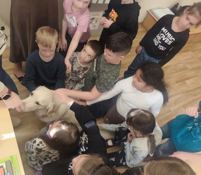 Obrázek galerie 19989